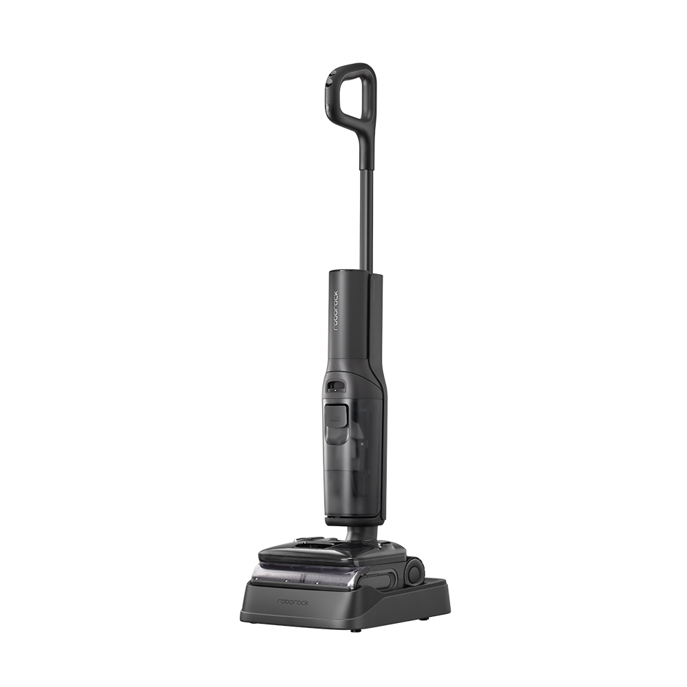 Roborock F25 Steam