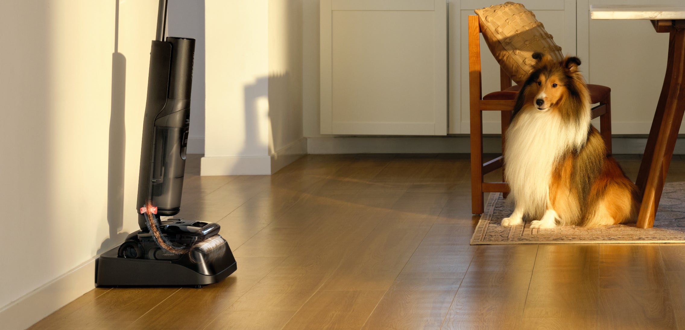 Roborock F25 ACE Pro